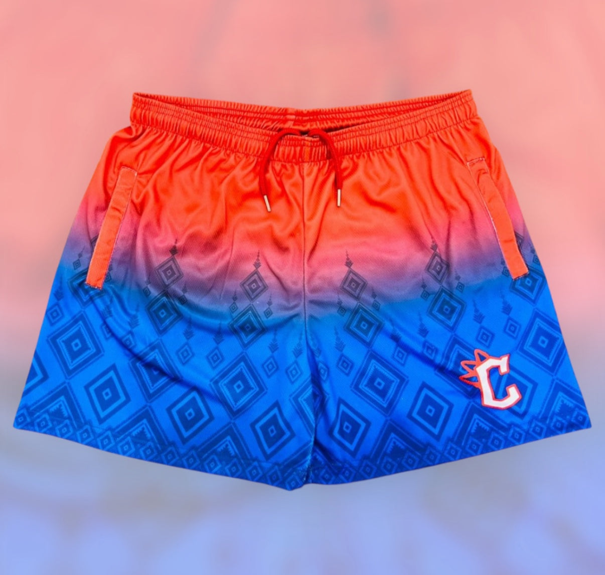 Cambodian Gradient shorts